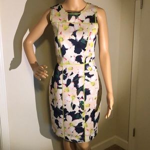 J Crew dress